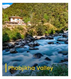 phobjikha-valley